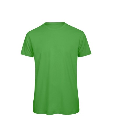T-Shirt Inspire T /Men colore real green taglia S