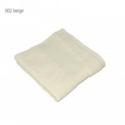 Spugna Classic Towel 100X160 2
