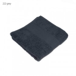 Spugna Classic Towel 50X100 2