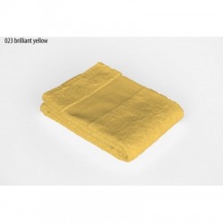 Spugna Economy Towel 30X50 2