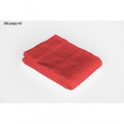 Spugna Economy Towel 50X100 2
