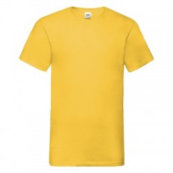 T-Shirt Valueweight V-Neck T 2