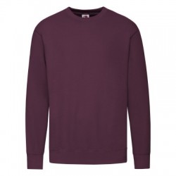 Felpe Lightweight Set-In Sweat 2