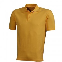Polo Function Polo 2