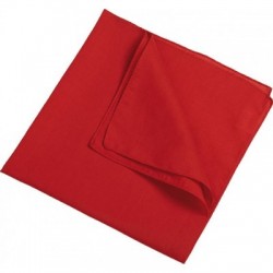 Cappelli Bandana 2