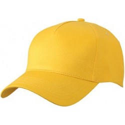 Cappelli 5 Panel Cap 2