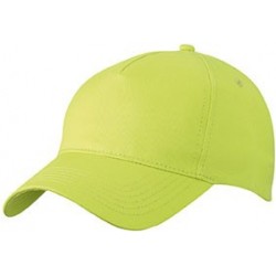 Cappelli 5 Panel Cap 2