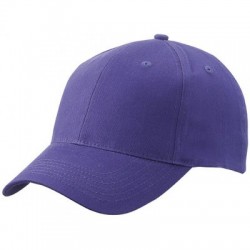 Cappelli Brushed 6 Panel Cap 2