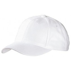 Cappelli Panel Raver Cap Laminated 2