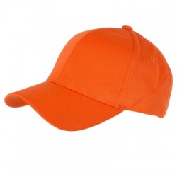 Cappelli 6 Panel Sport Mesh Cap 2
