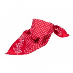 Cappelli Traditional Bandana 2