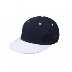 Cappelli 6 Panel Pro Cap 2