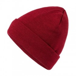 Cappelli Knitted Cap Thinsulate 2