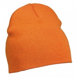 Cappelli Beanie No.1 2