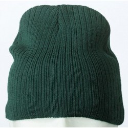 Cappelli Rib Beanie 2