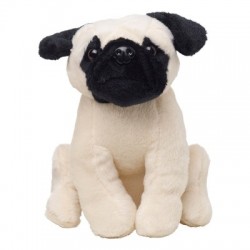 Gadget Pug dog Birgit