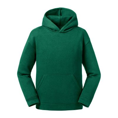 Felpe Kids Authentic Hooded Sweat