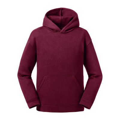 Felpe Kids Authentic Hooded Sweat