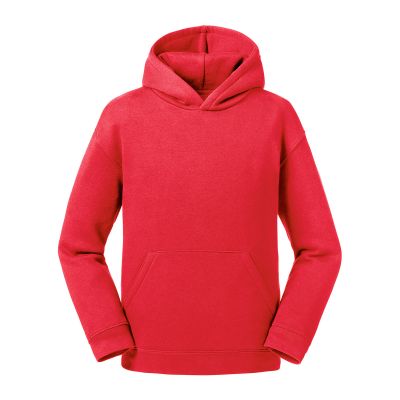 Felpe Kids Authentic Hooded Sweat